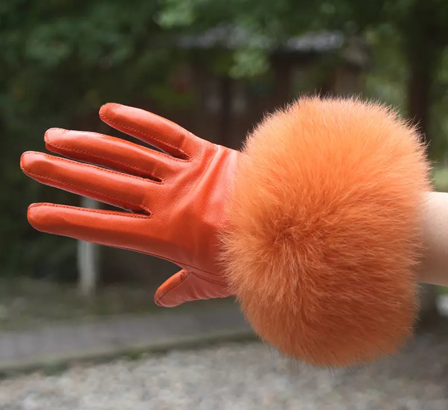 Luxury fur leather gloves .    Accessories